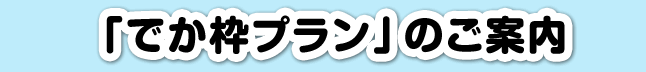 「でか枠プラン」のご案内